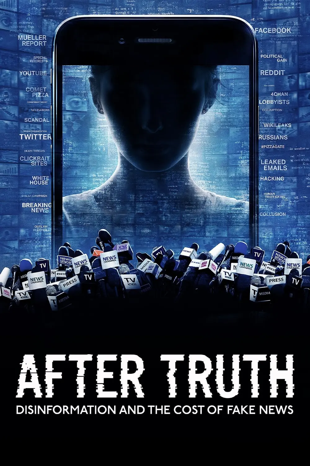 After Truth: Disinformation and the Cost of Fake News_peliplat