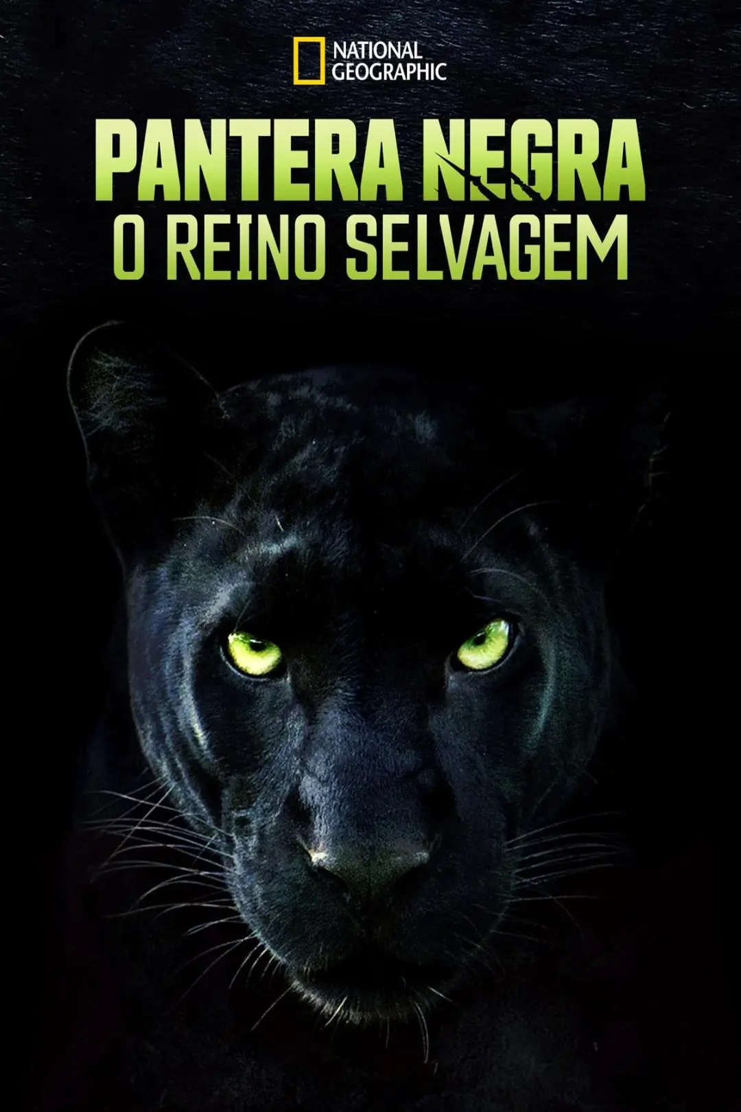 Pantera Negra: O Reino Selvagem_peliplat