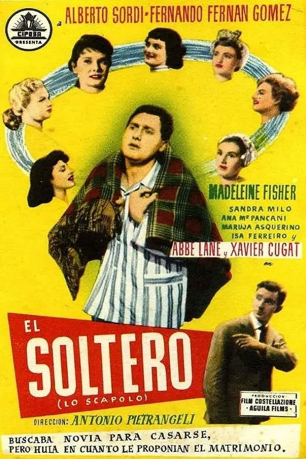 El soltero_peliplat