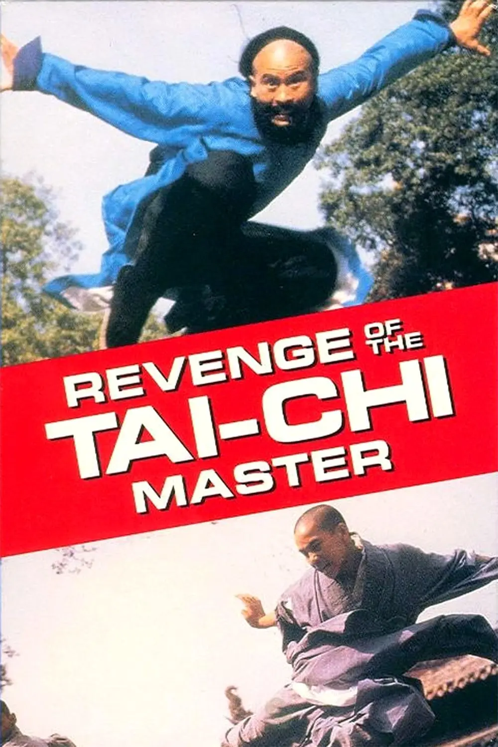 Secret of Tai Chi_peliplat