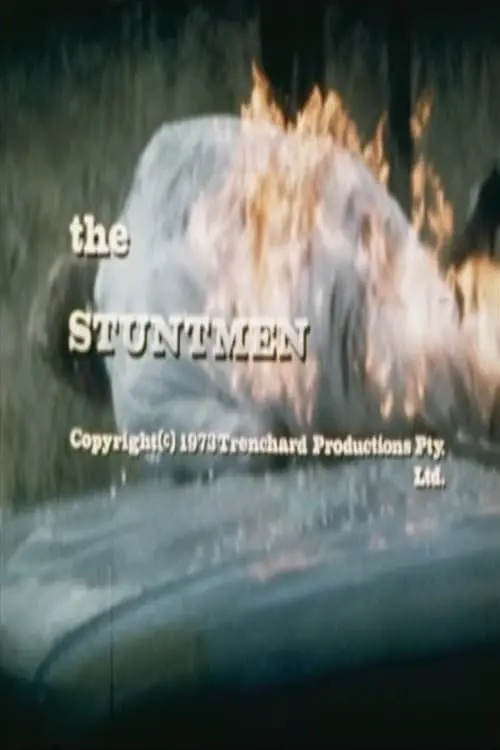 The Stuntmen_peliplat