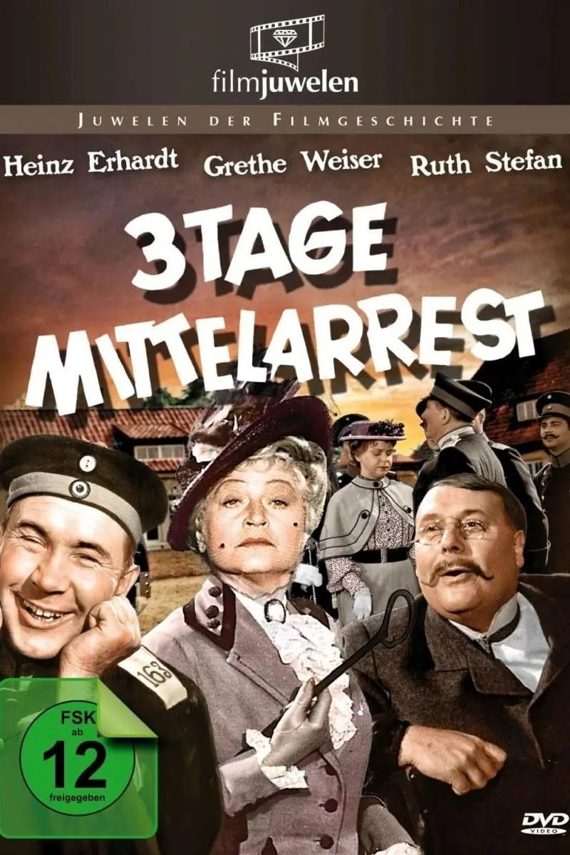 Drei Tage Mittelarrest_peliplat