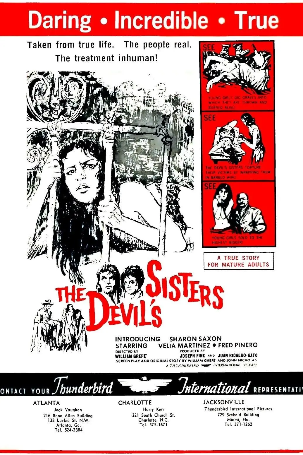 The Devil's Sisters_peliplat