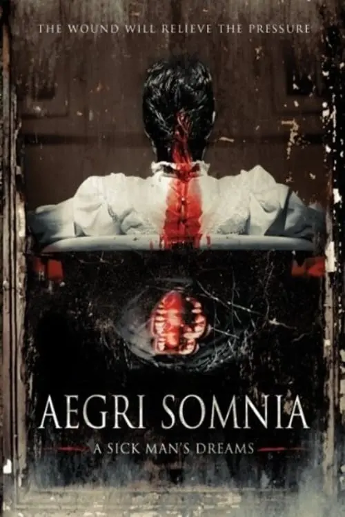 Aegri Somnia_peliplat