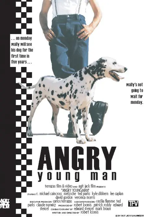 Angry Young Man_peliplat