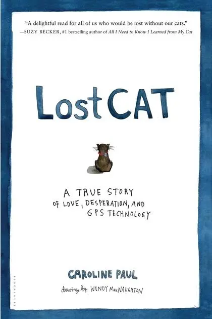 Lost Cat_peliplat