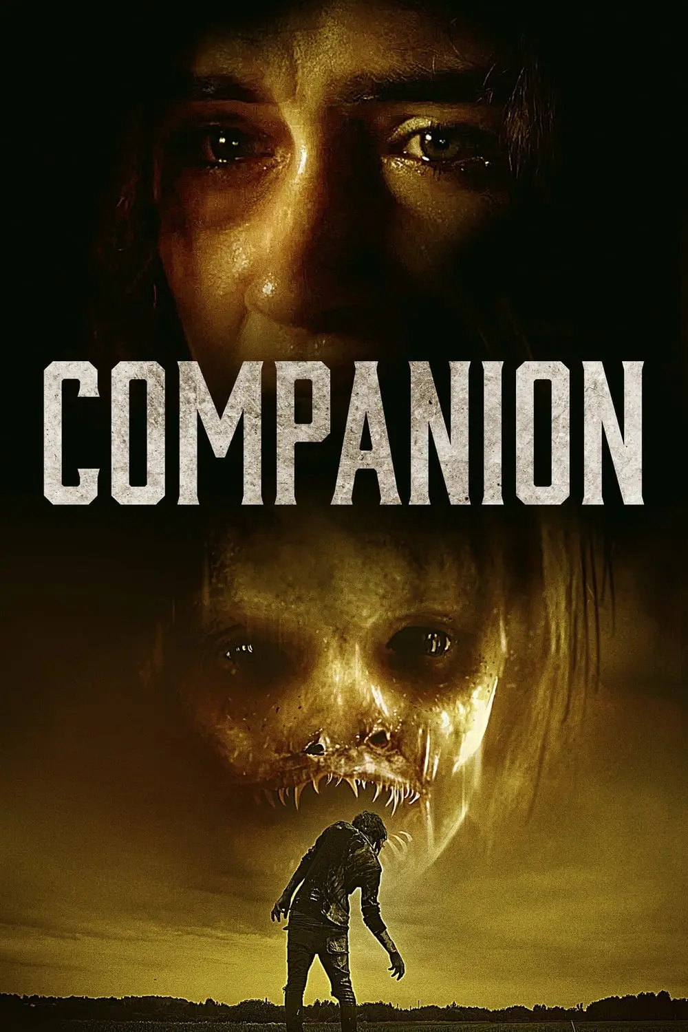Companion_peliplat