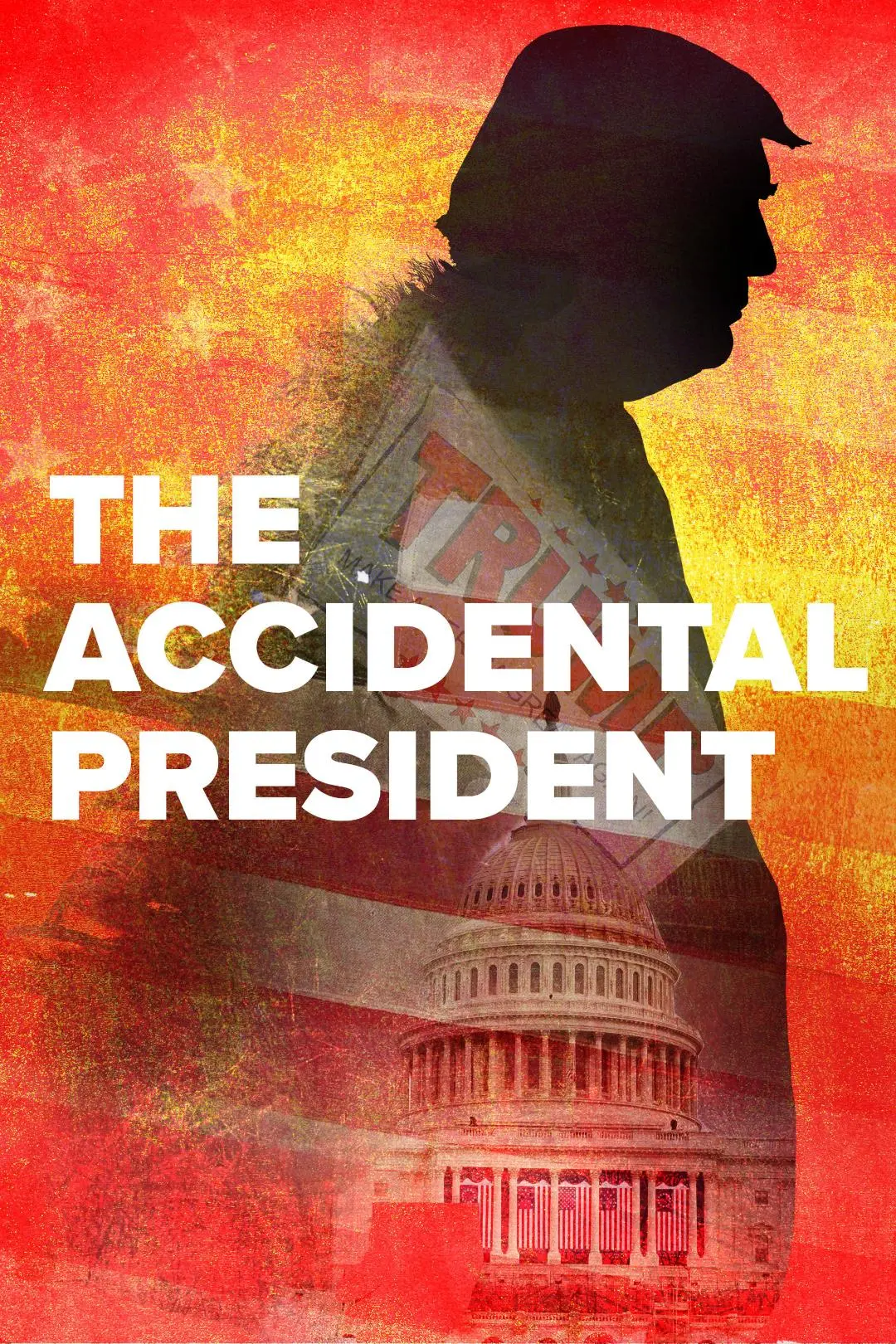 The Accidental President_peliplat