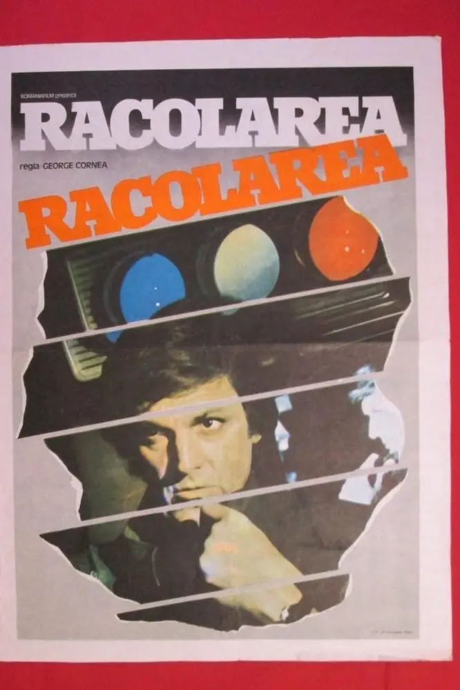 Racolarea_peliplat