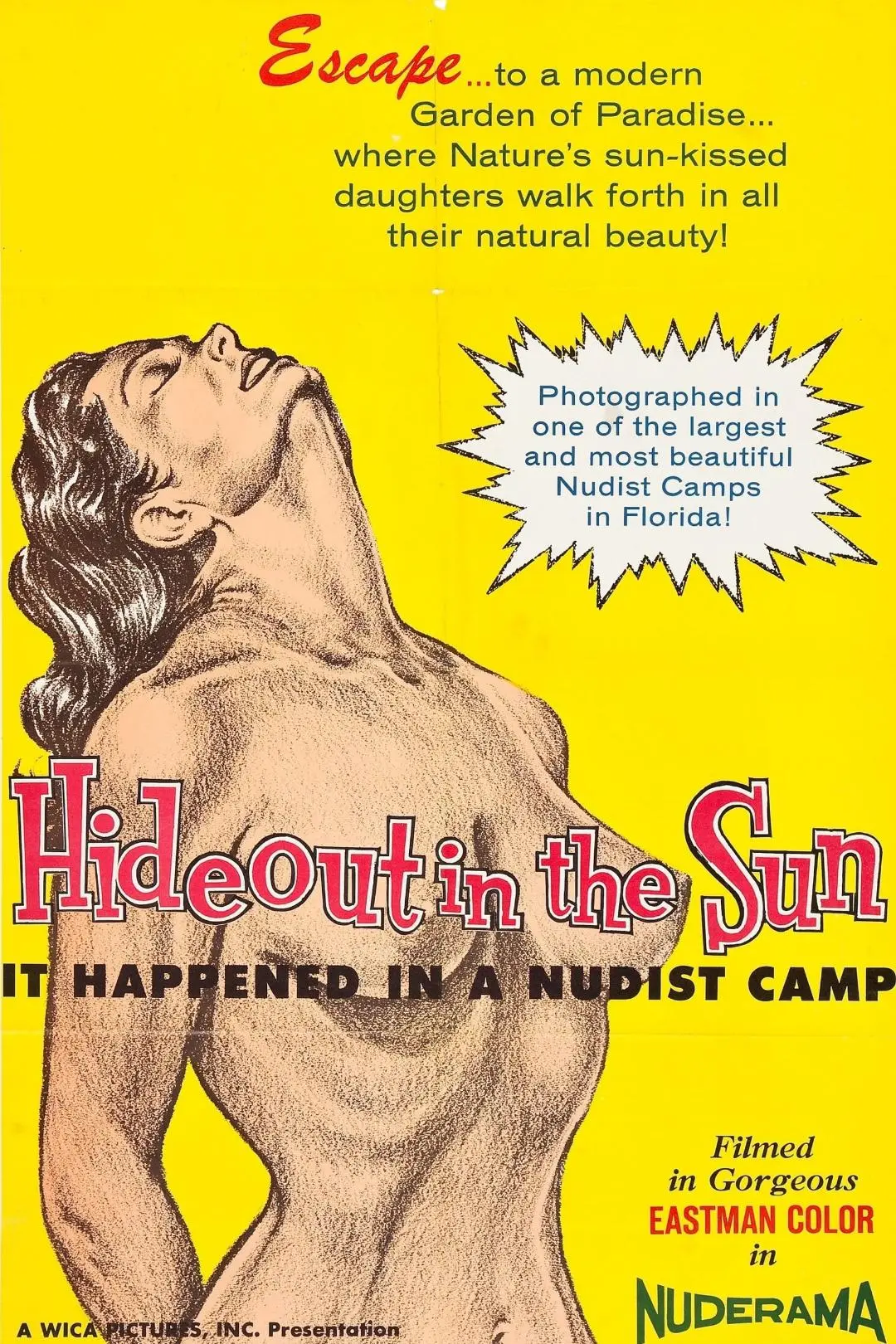 Hideout in the Sun_peliplat