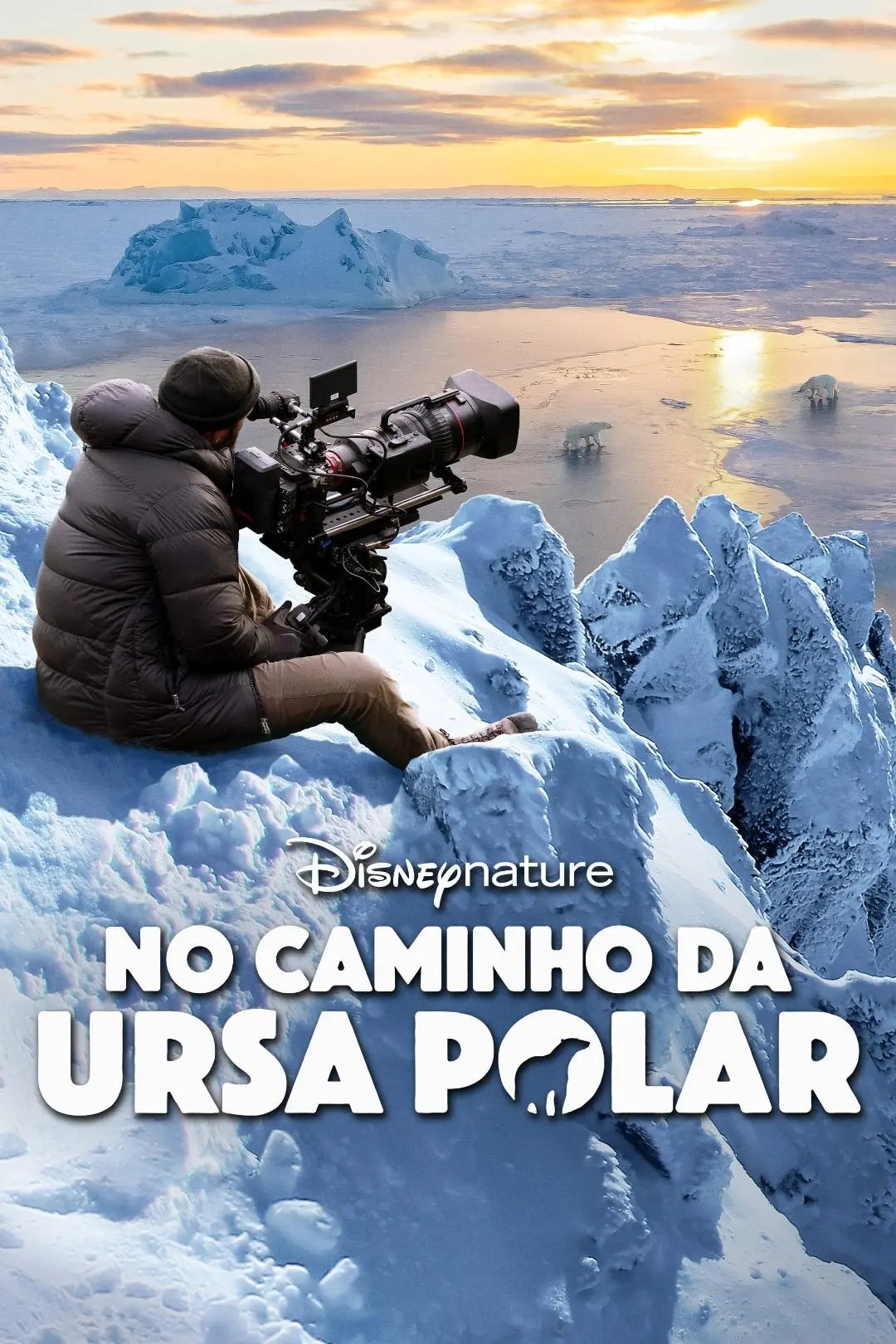 O Caminho Para: Ursa Polar_peliplat