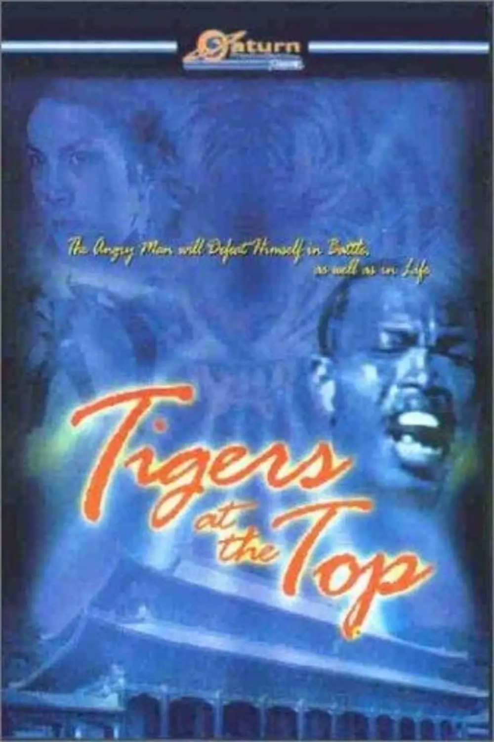 Tigers at the Top_peliplat