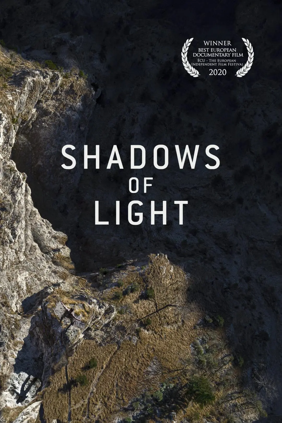 Shadows of Light_peliplat