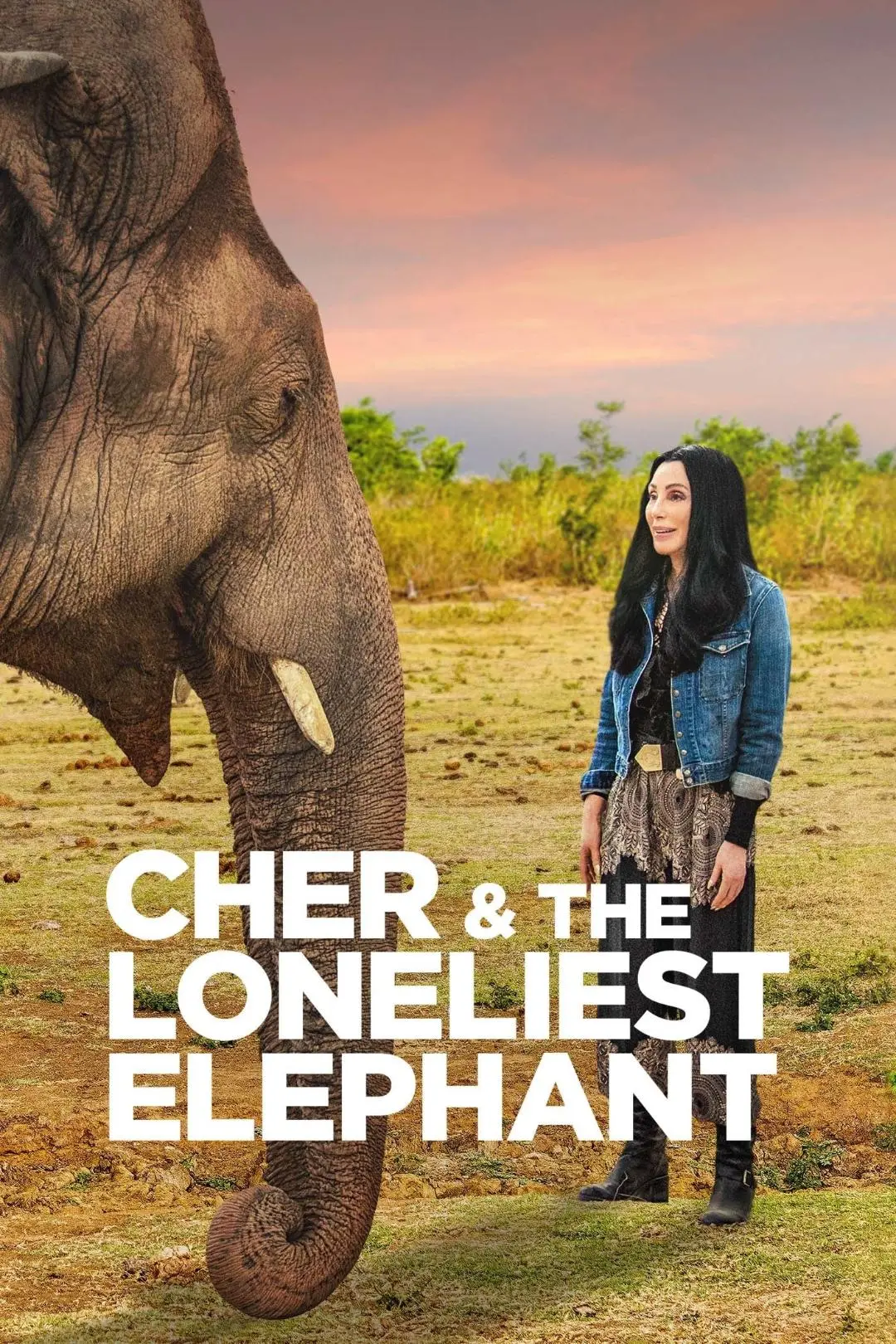 Cher e o Elefante Solitário_peliplat