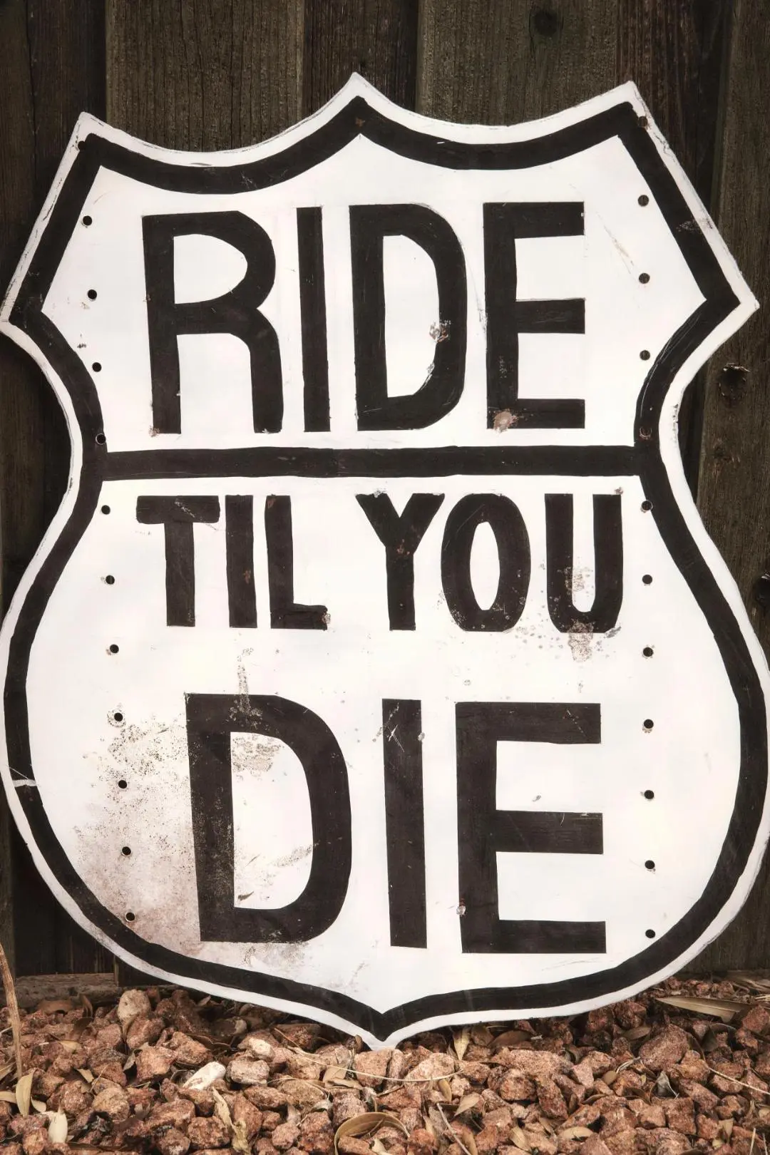 Ride til You Die_peliplat