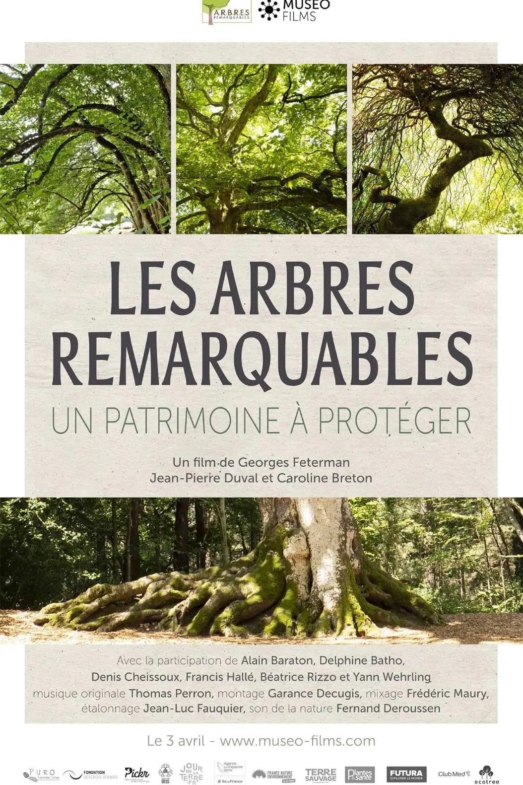 Les arbres remarquables - Un patrimoine à protéger_peliplat