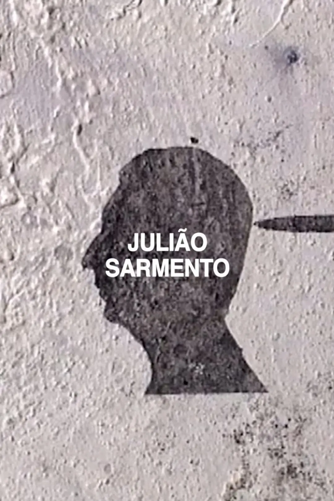 Julião Sarmento_peliplat