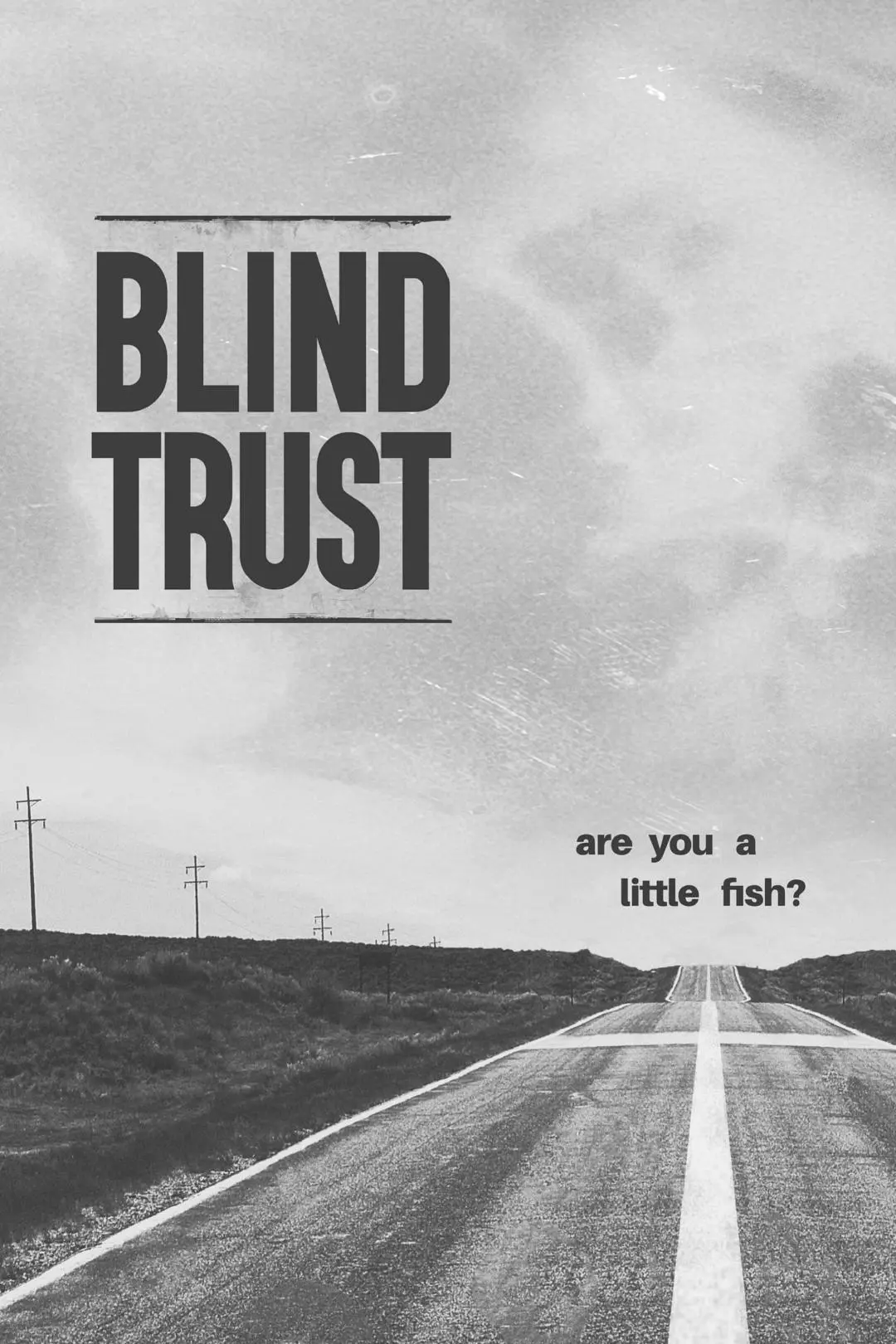 Blind Trust_peliplat