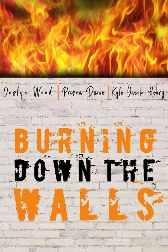 Burning Down the Walls_peliplat