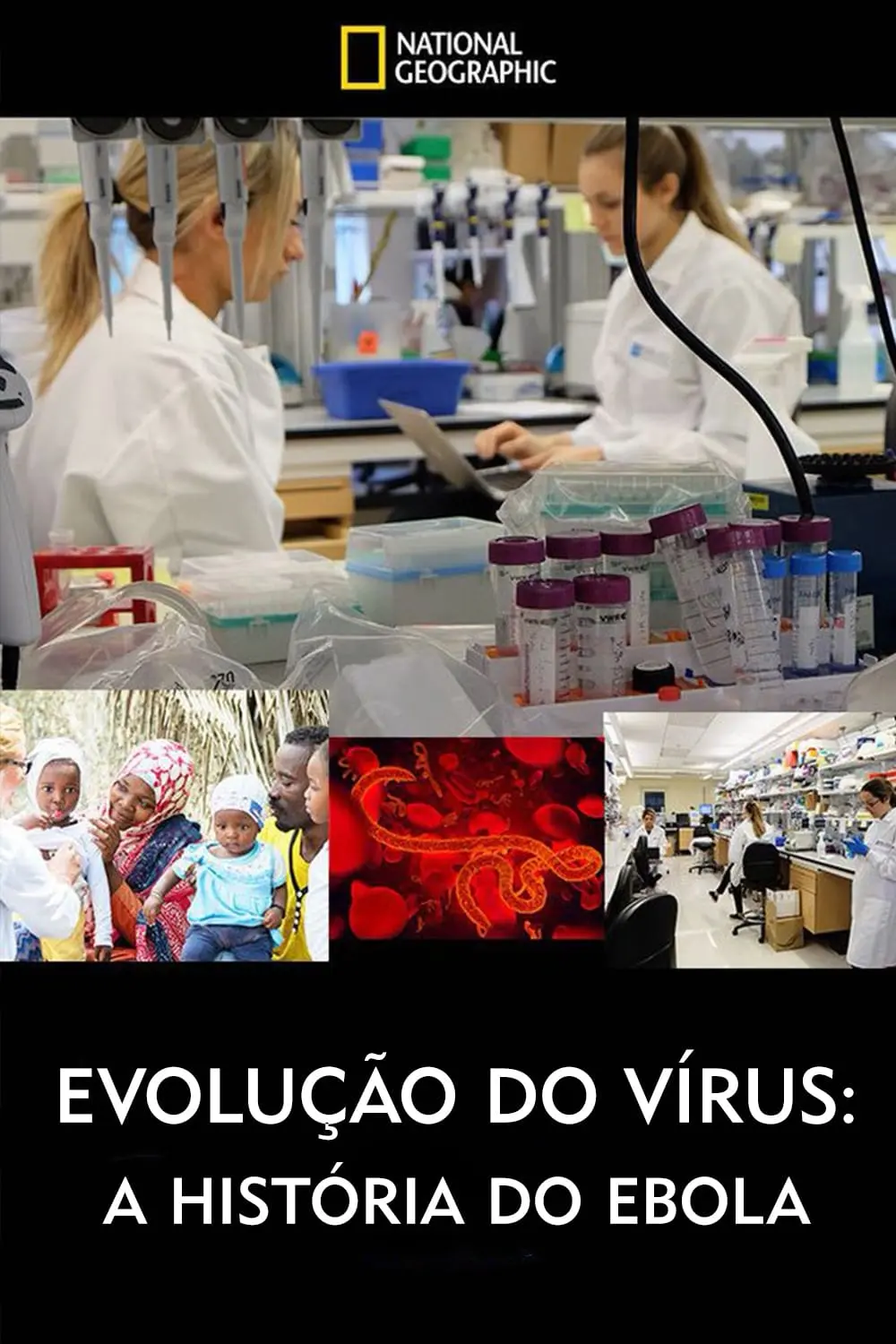 Evolução do Vírus: A História do Ebola_peliplat