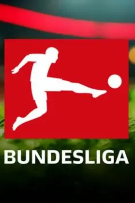 2014-2015 Bundesliga_peliplat