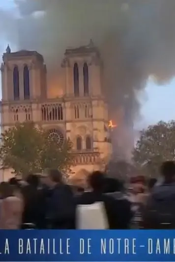La batalla de Notre Dame_peliplat