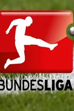 2016-2017 Bundesliga_peliplat