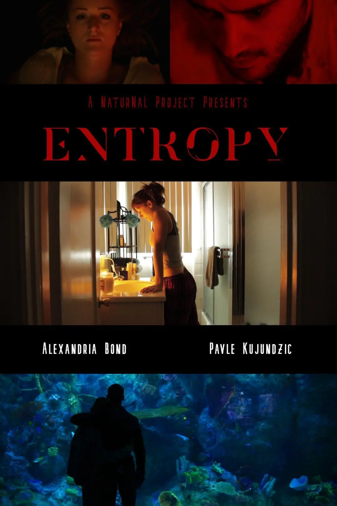 Entropy_peliplat