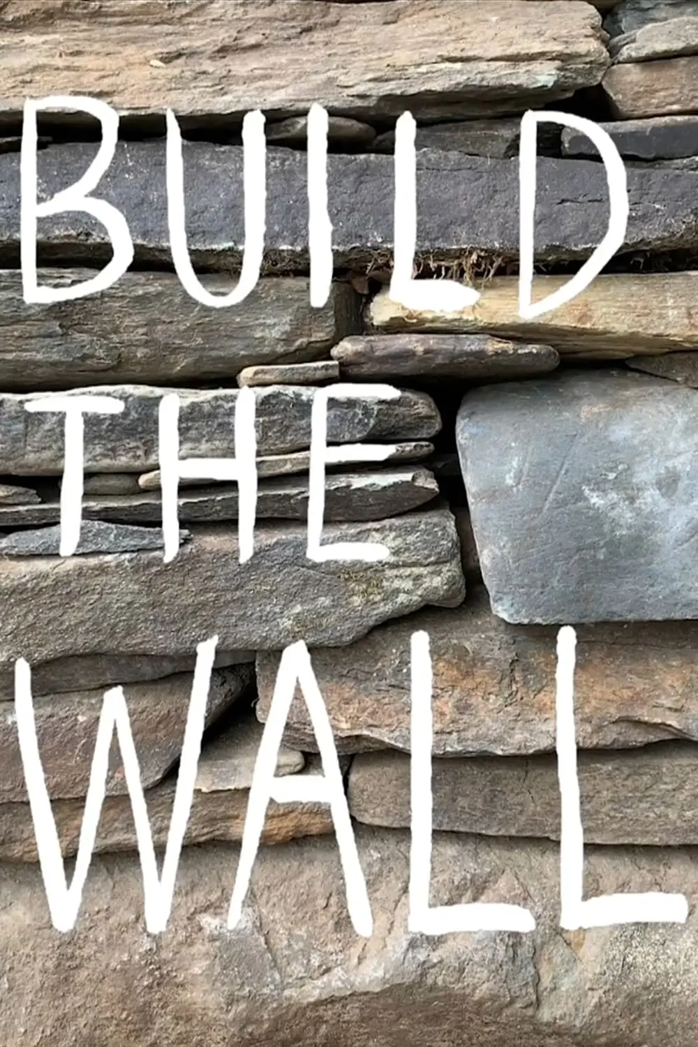 Build the Wall_peliplat