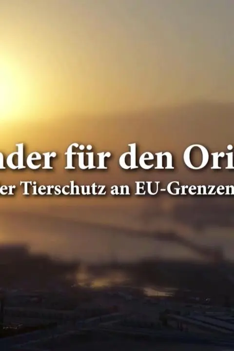 Rinder für den Orient: Wenn der Tierschutz an EU-Grenzen endet_peliplat