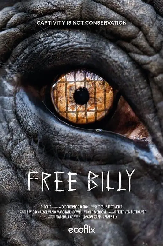 Free Billy_peliplat