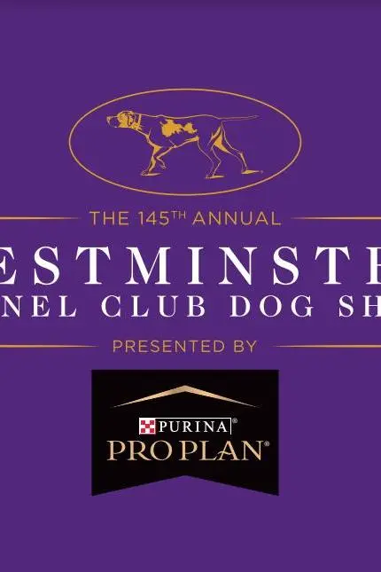 145th Westminster Kennel Club Dog Show_peliplat