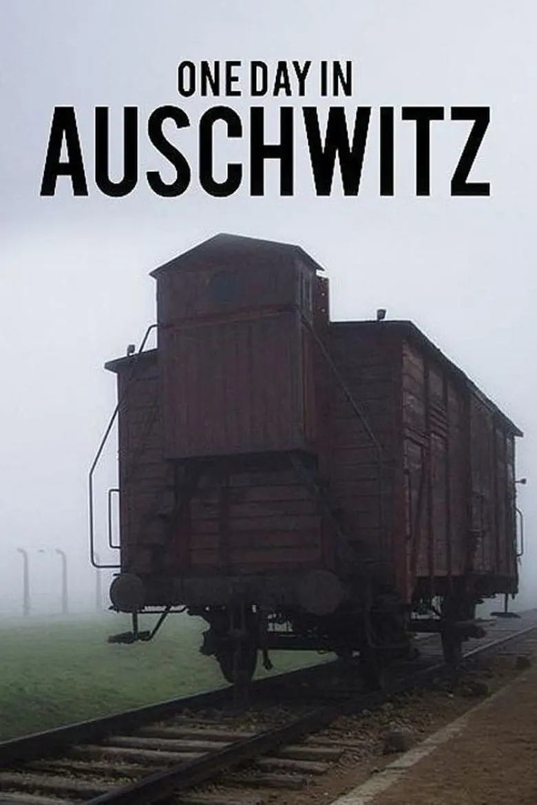 Um Dia em Auschwitz_peliplat