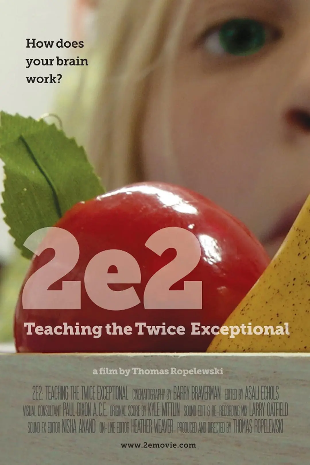 2e: Teaching the Twice Exceptional_peliplat