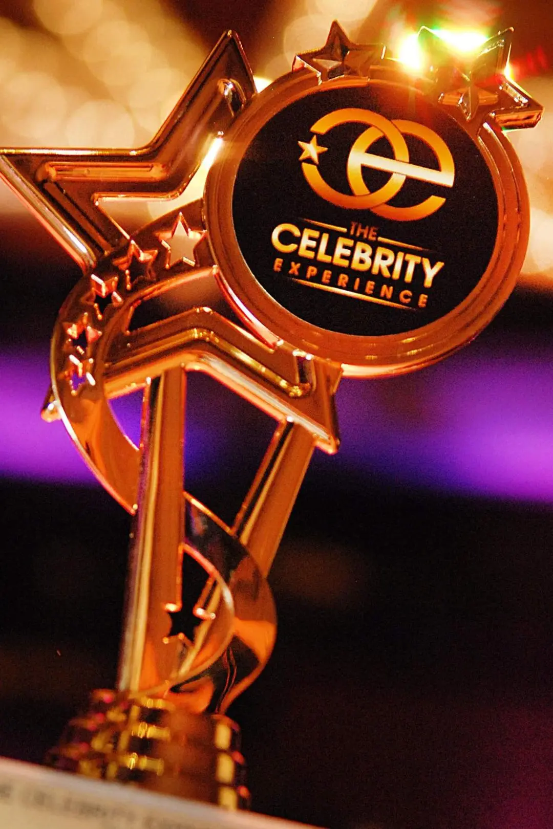 The 2017 Celebrity Experience Awards Live from Universal Studios Hollywood_peliplat