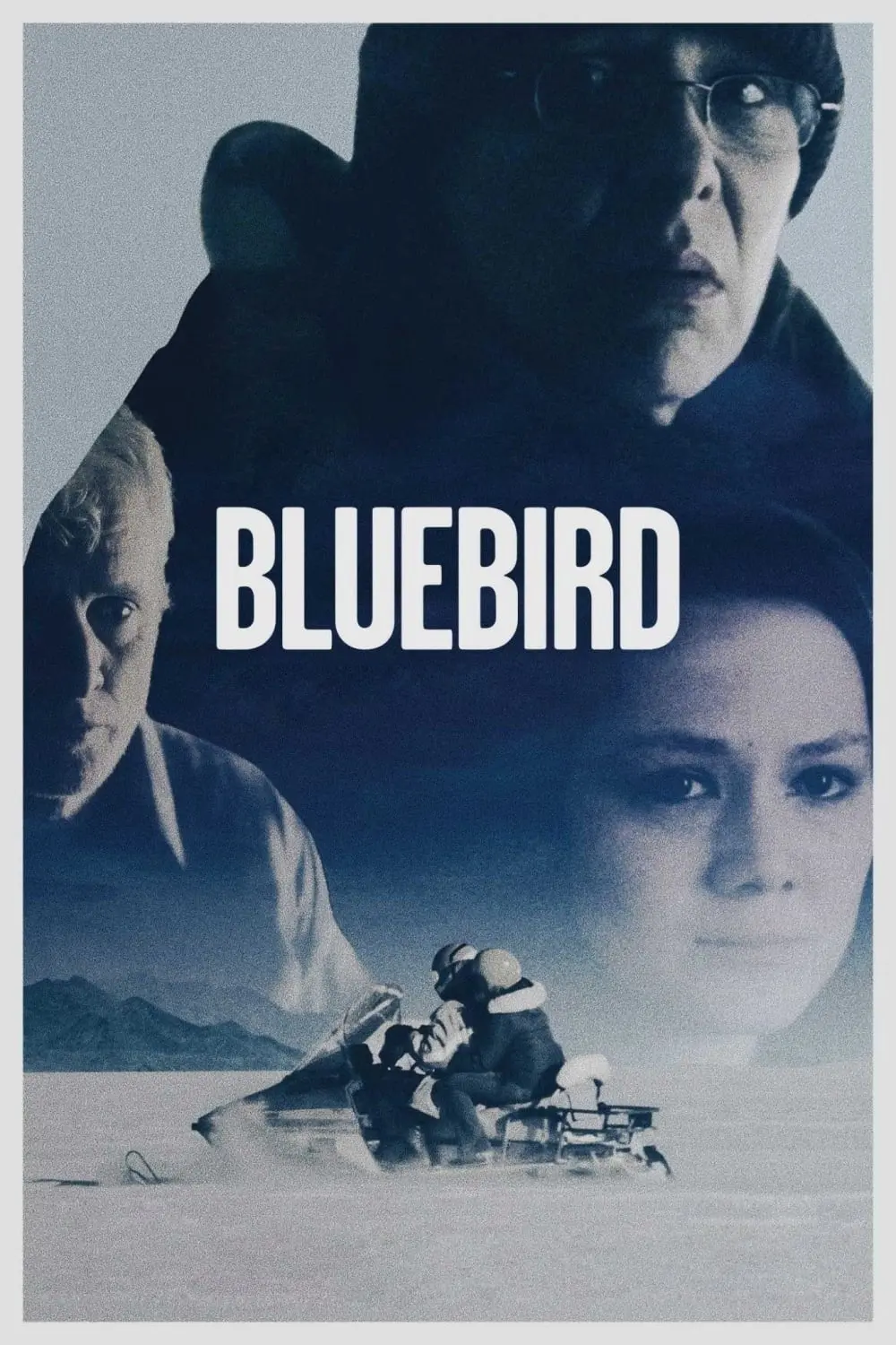 Bluebird_peliplat