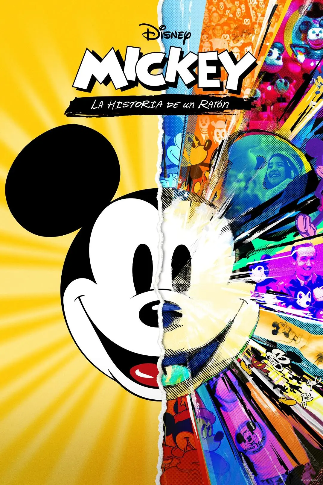 Mickey: La historia de un ratón_peliplat