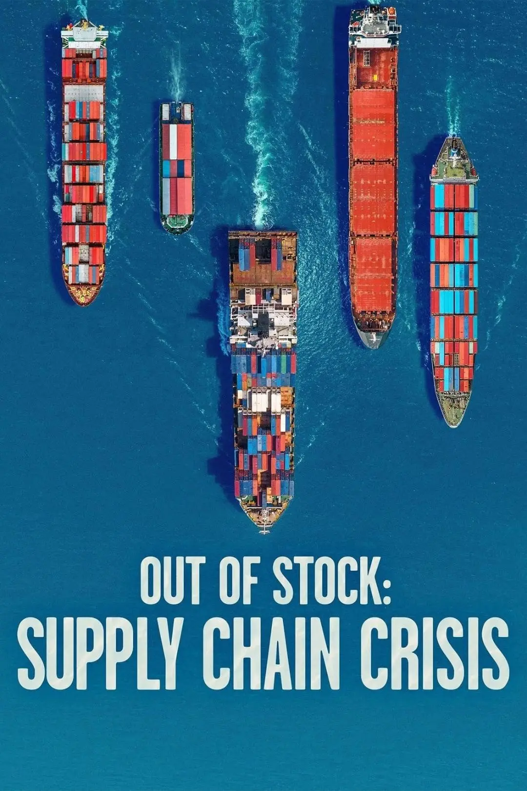 Out of Stock: Supply Chain Crisis_peliplat