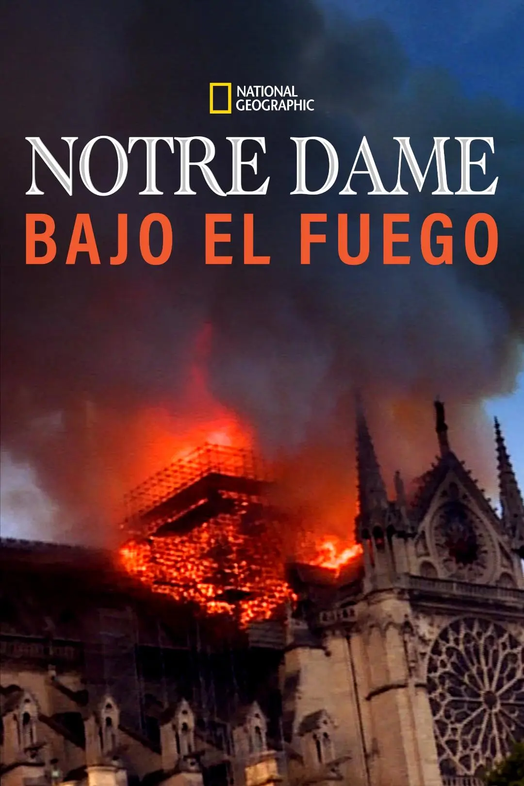 Notre Dame: La increíble carrera contra el infierno_peliplat