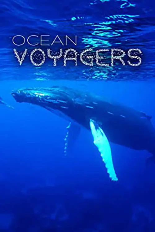 Ocean Voyagers_peliplat