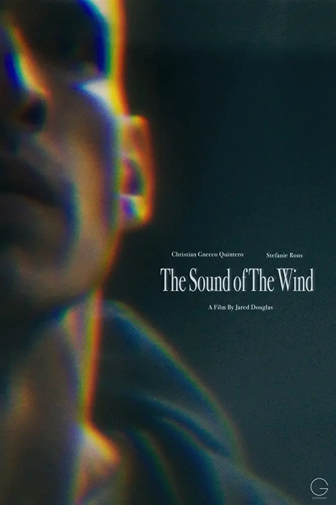 The Sound of the Wind_peliplat