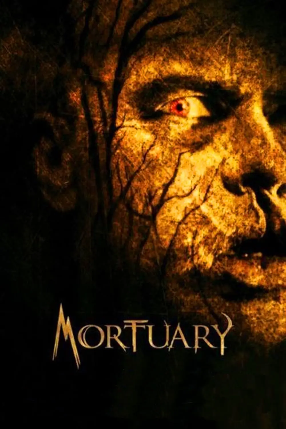 Mortuary_peliplat