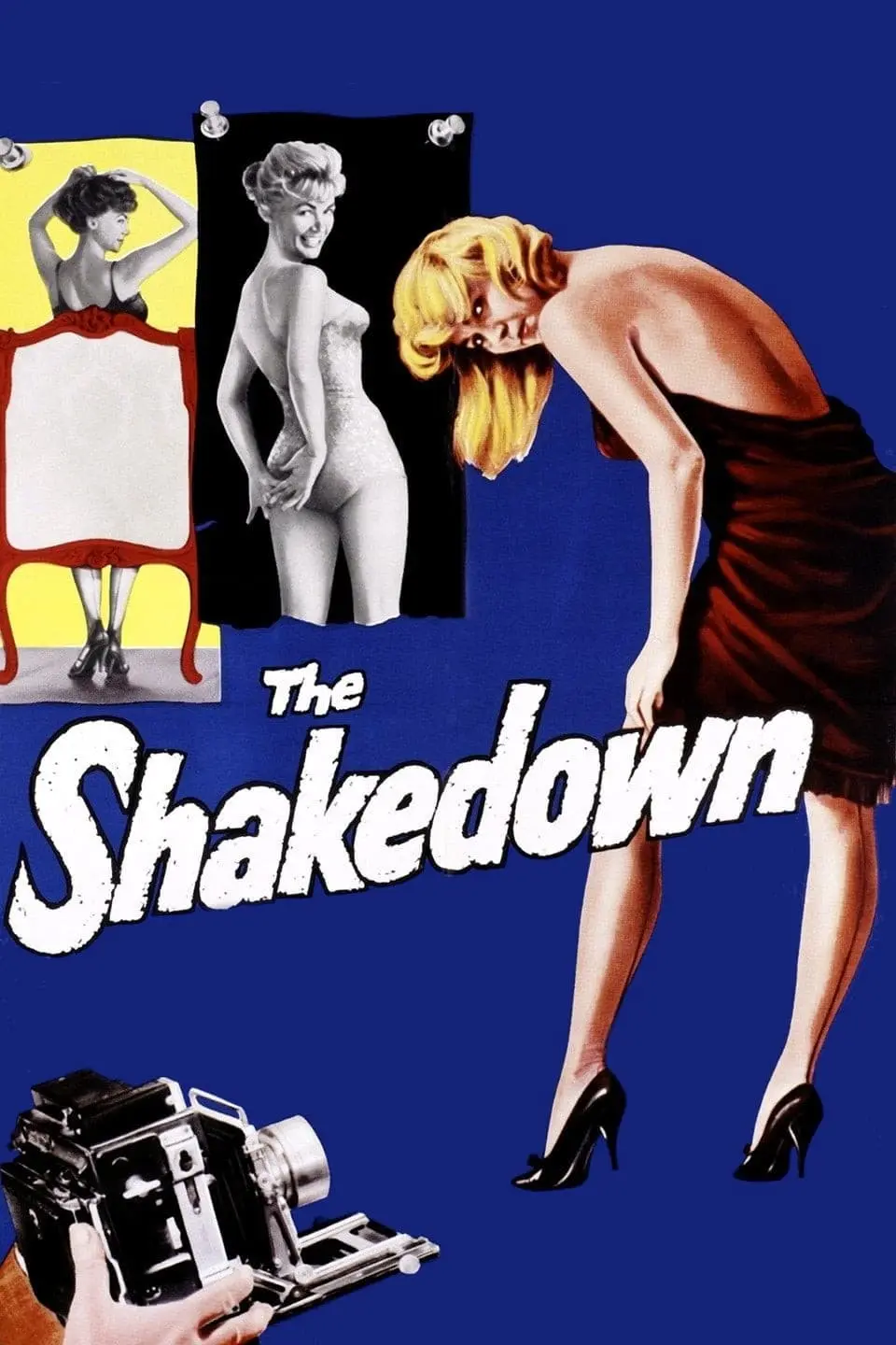 The Shakedown_peliplat