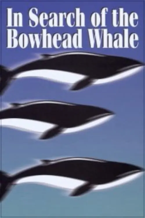 In Search of the Bowhead Whale_peliplat