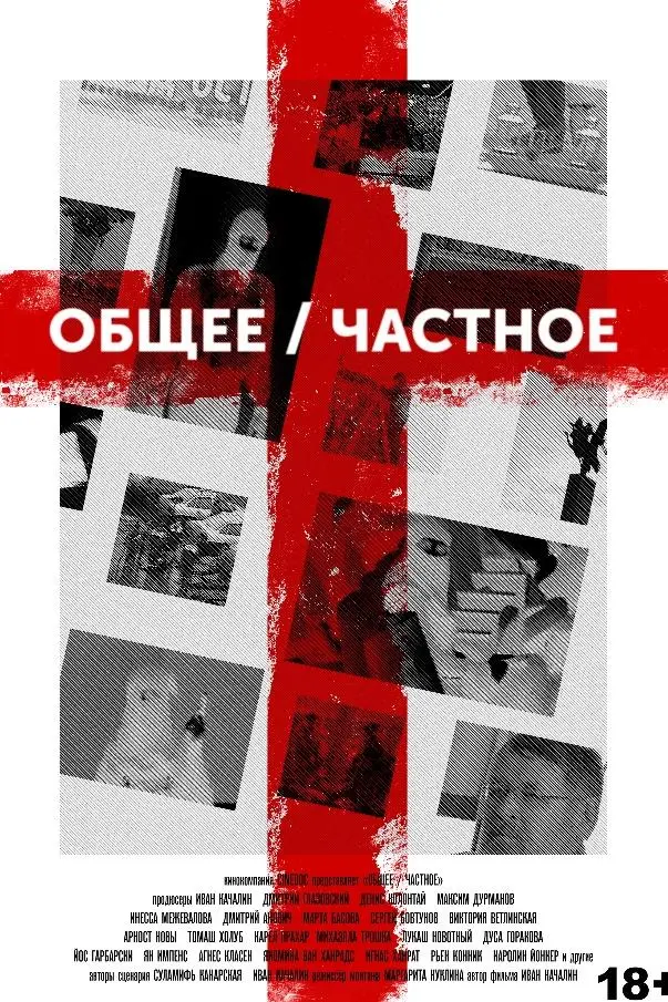 Obshcheye/Chastnoye_peliplat