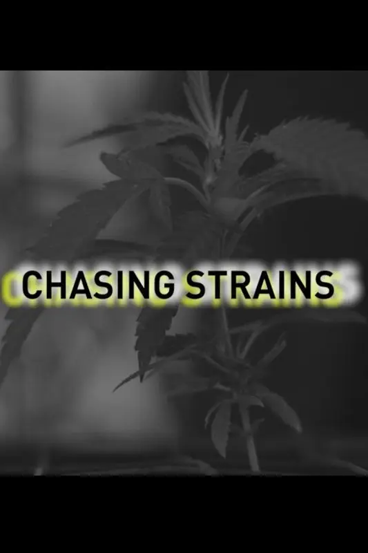 Chasing Strains_peliplat