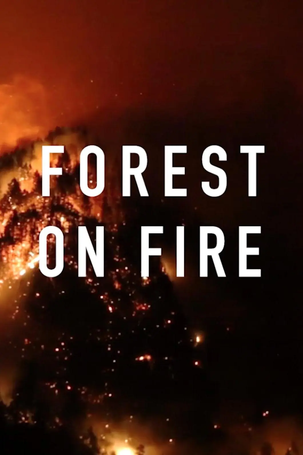 Forest on Fire_peliplat