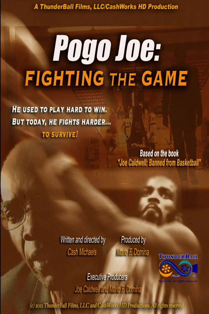 Pogo Joe: Fighting the Game_peliplat