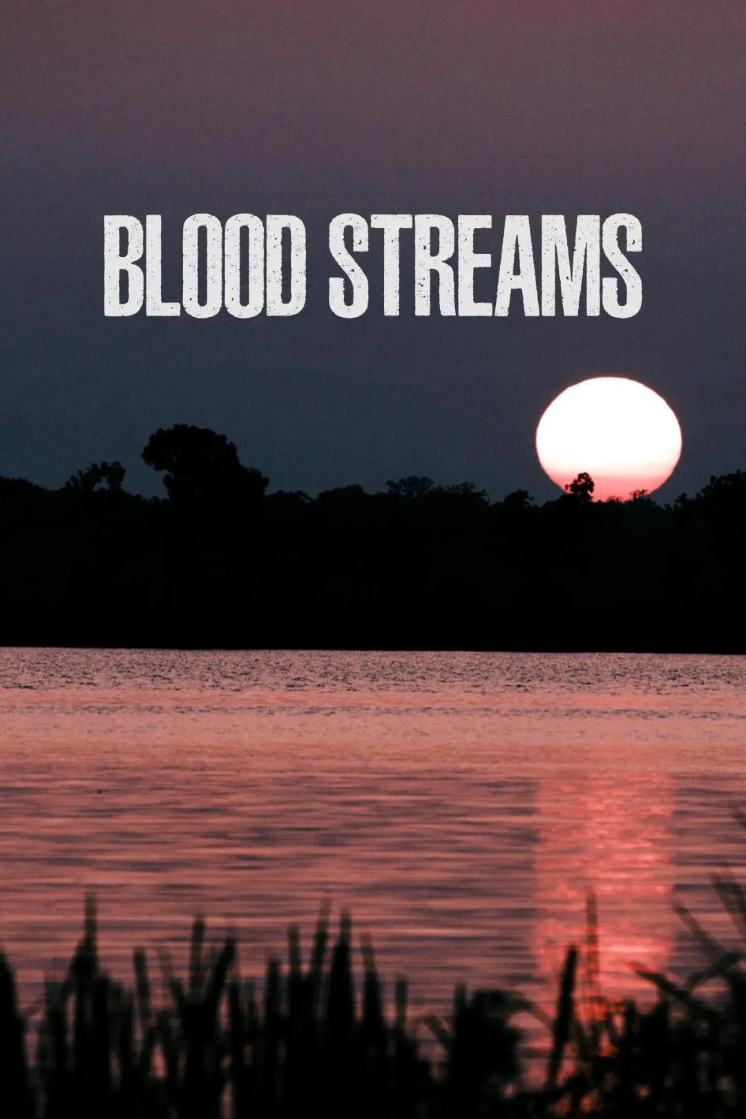 Blood Streams_peliplat