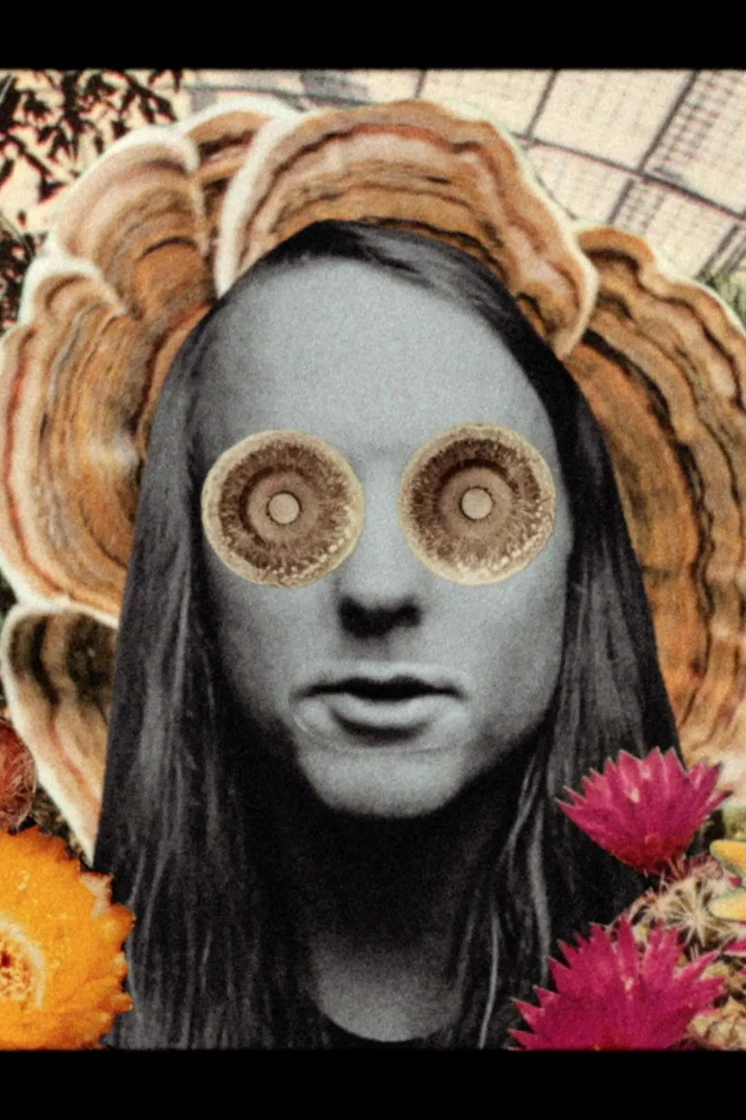 Andy Shauf: The Magician_peliplat